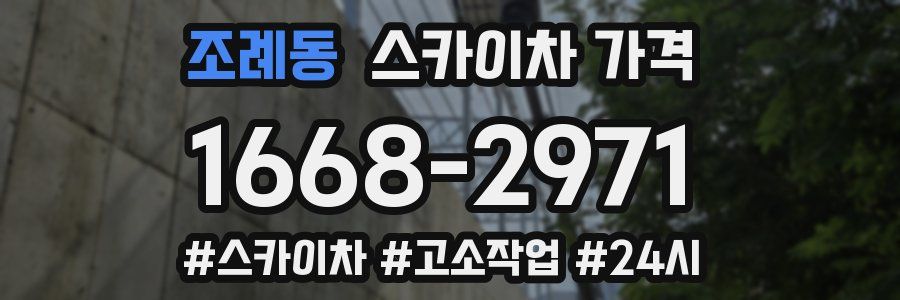 조례동 스카이차 가격