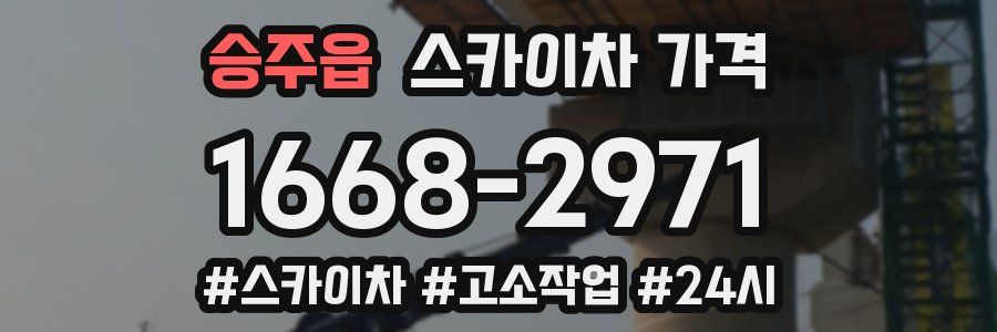 승주읍 스카이차 가격