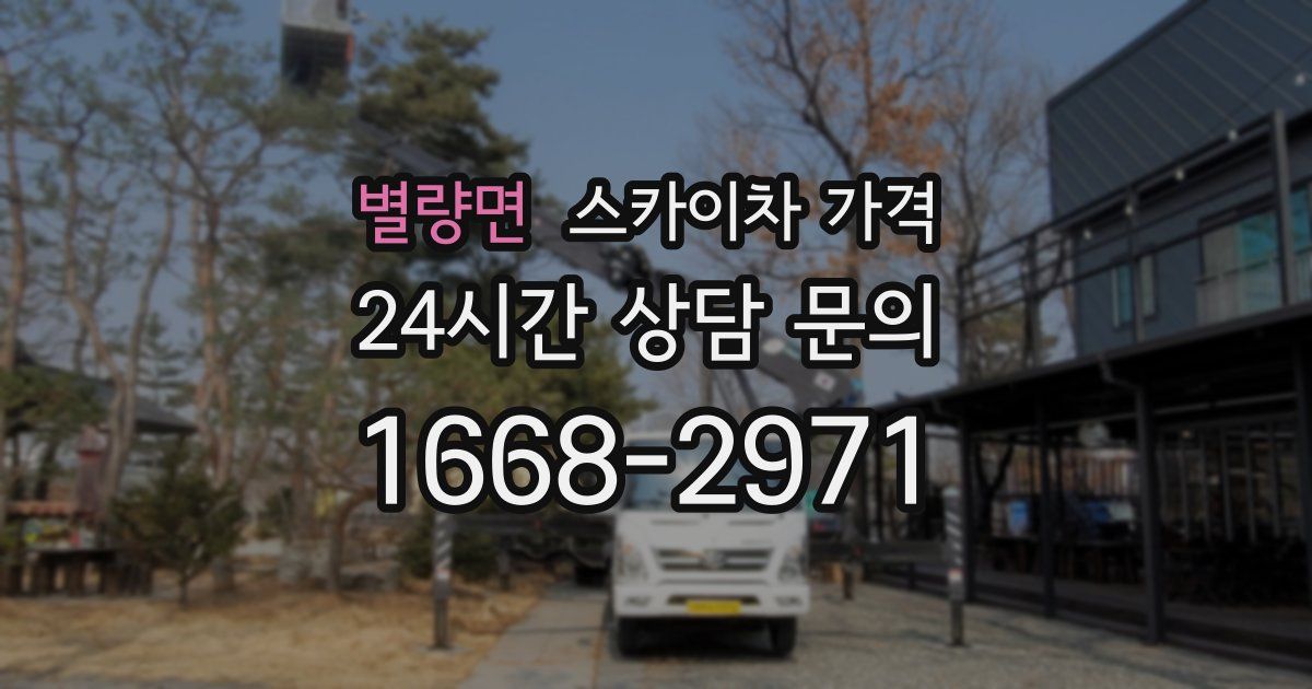 별량면 스카이차 가격