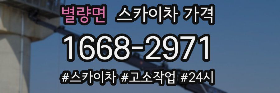 별량면 스카이차 가격