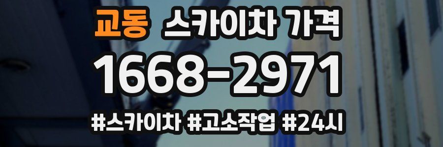 교동 스카이차 가격