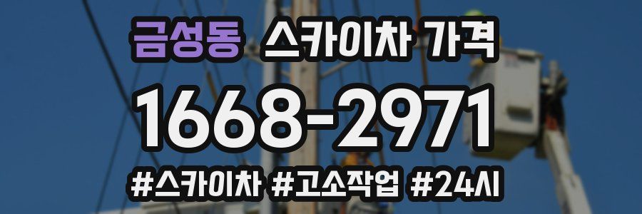 금성동 스카이차 가격