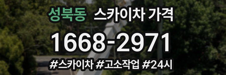 성북동 스카이차 가격