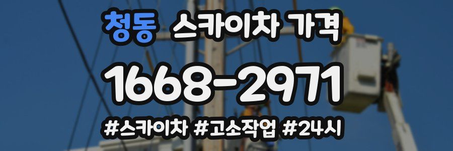 청동 스카이차 가격