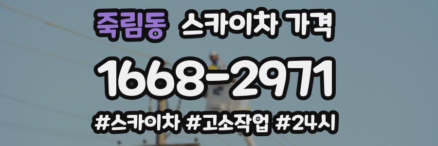 죽림동 스카이차 가격