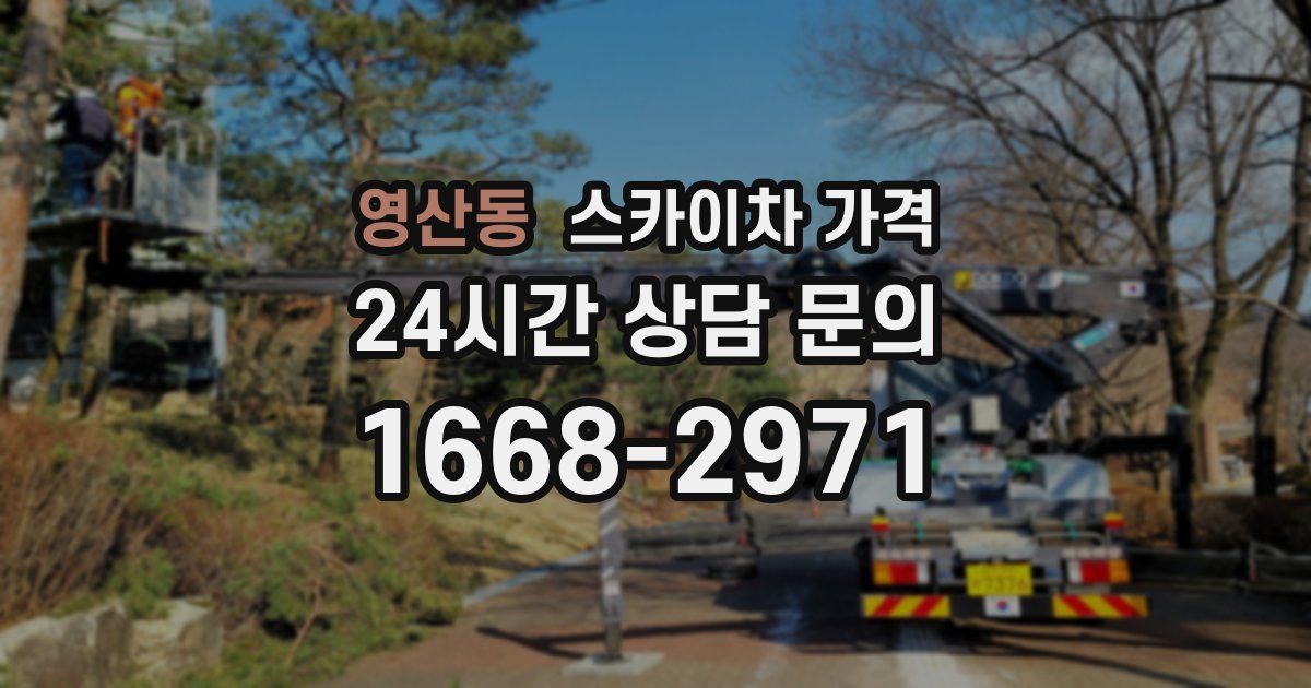 영산동 스카이차 가격