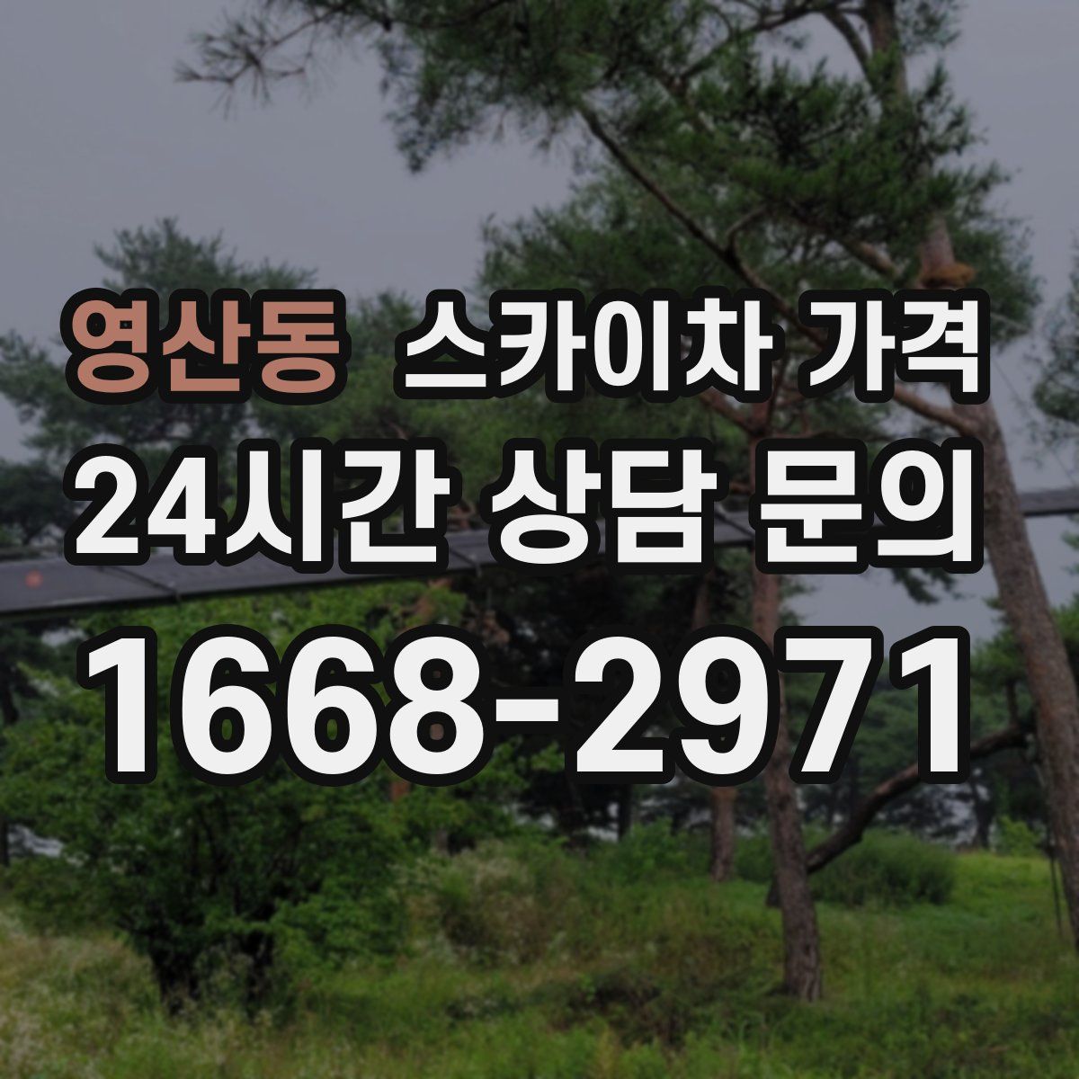 영산동 스카이차 가격