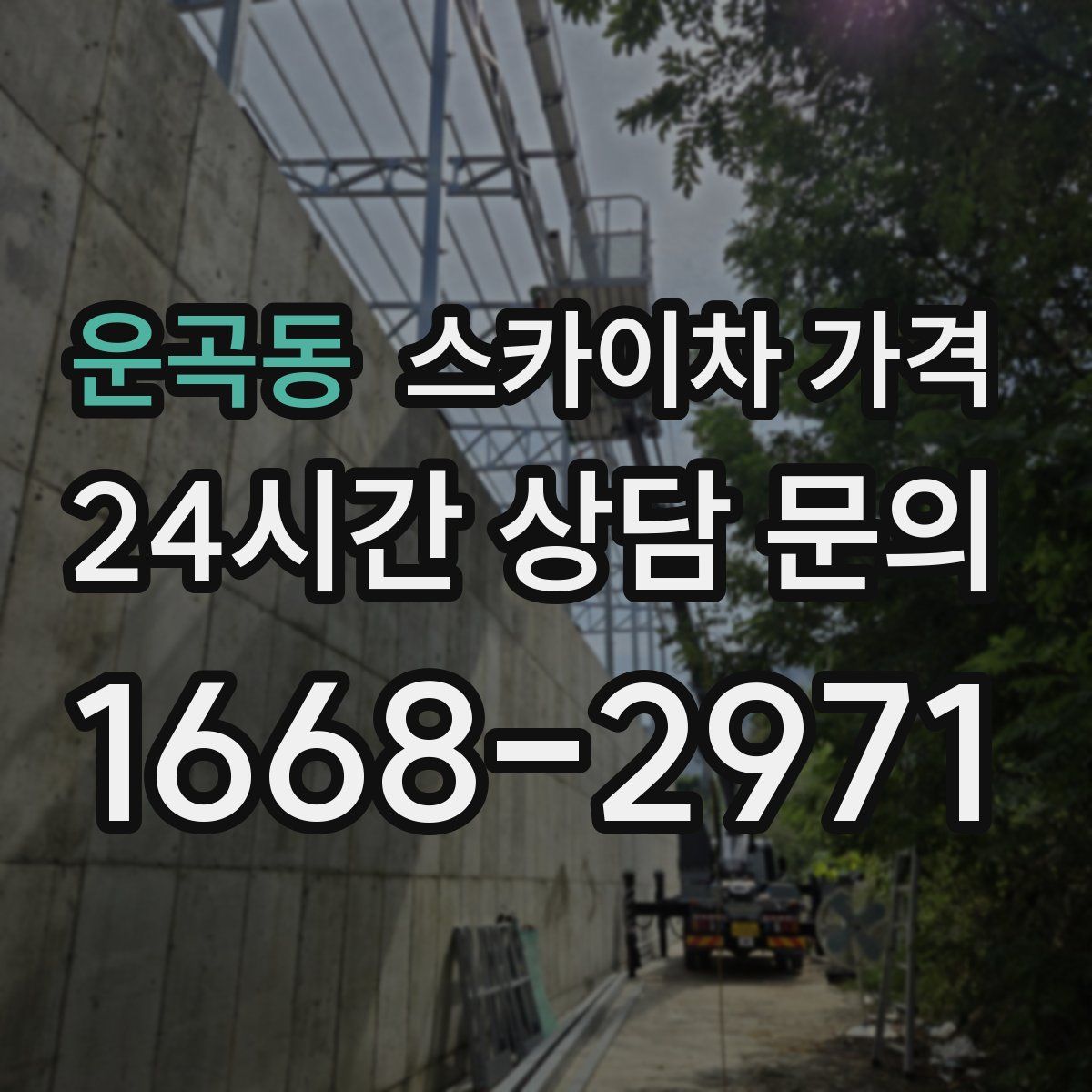 운곡동 스카이차 가격