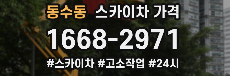 동수동 스카이차 가격