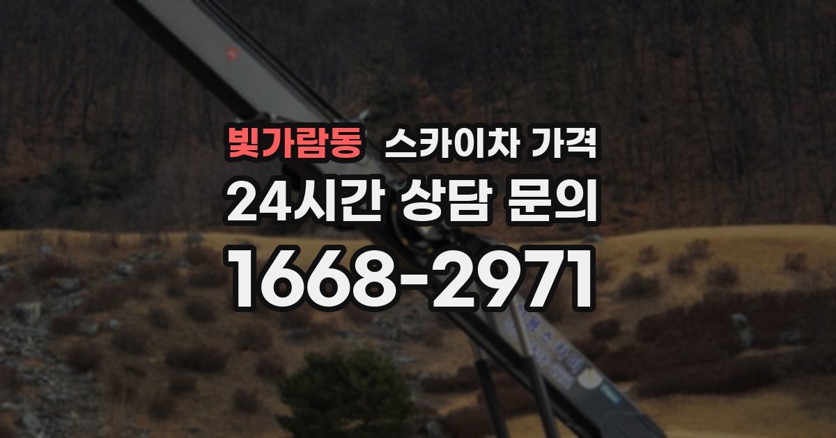 빛가람동 스카이차 가격