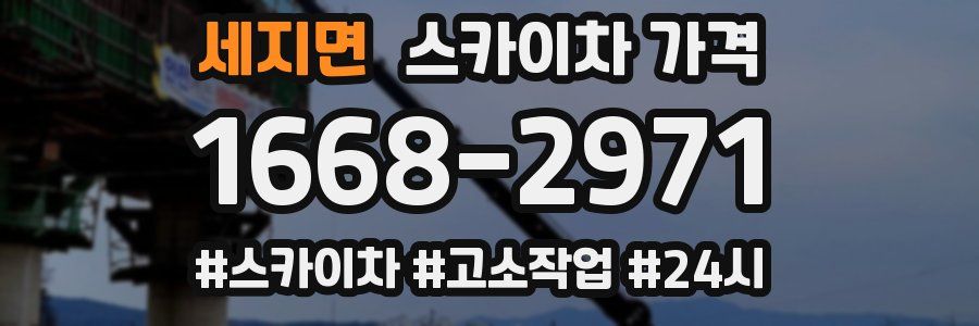 세지면 스카이차 가격