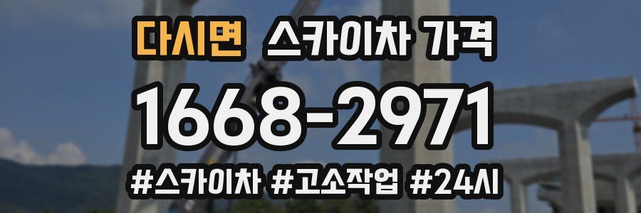 다시면 스카이차 가격