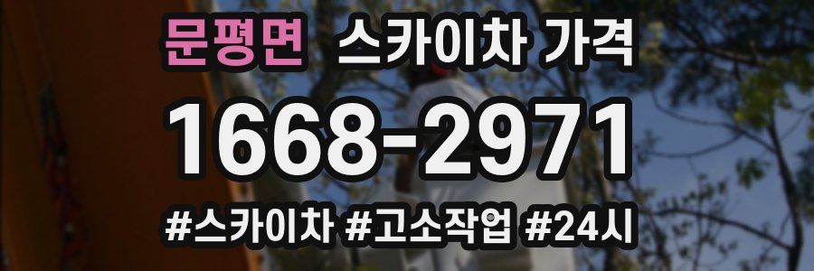 문평면 스카이차 가격