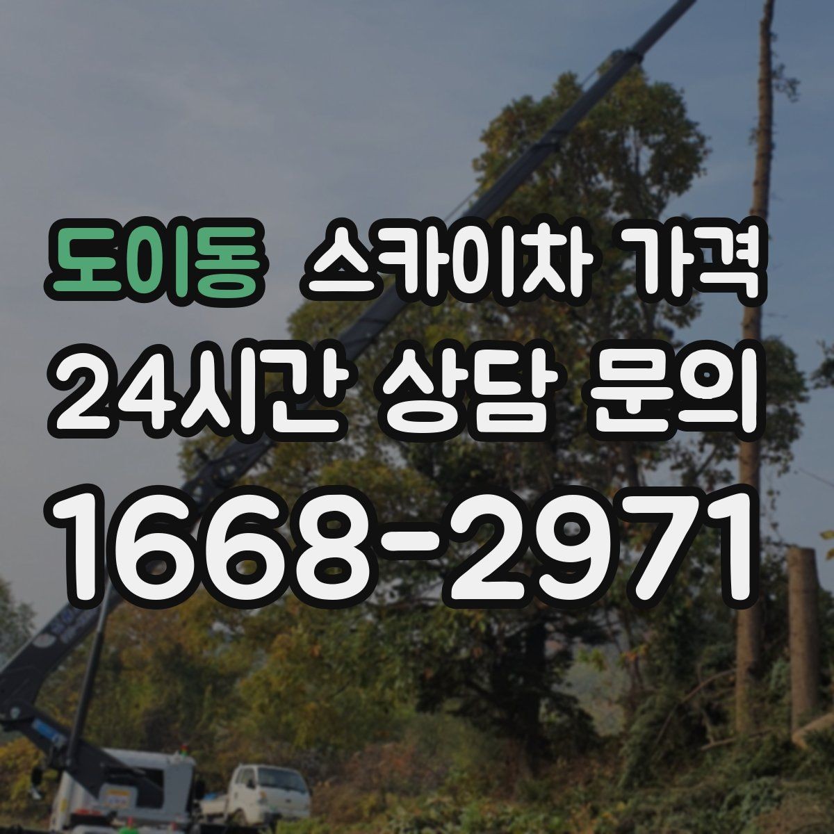 도이동 스카이차 가격 주소만 알려주면 견적이 흔들리는 이유