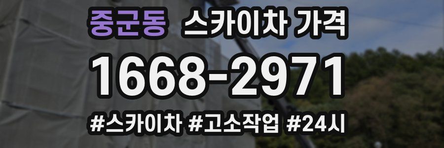 중군동 스카이차 가격
