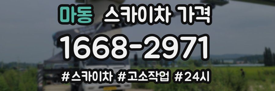 마동 스카이차 가격