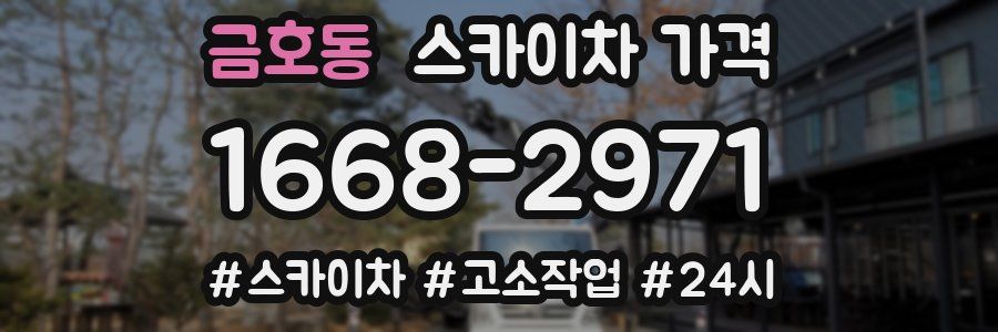 금호동 스카이차 가격