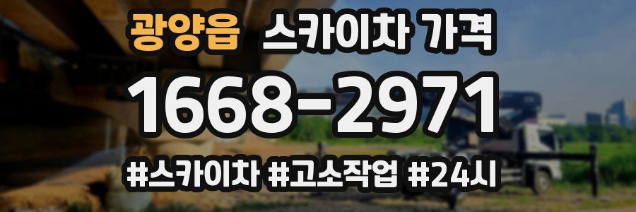 광양읍 스카이차 가격