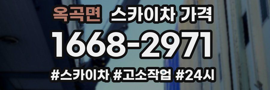 옥곡면 스카이차 가격