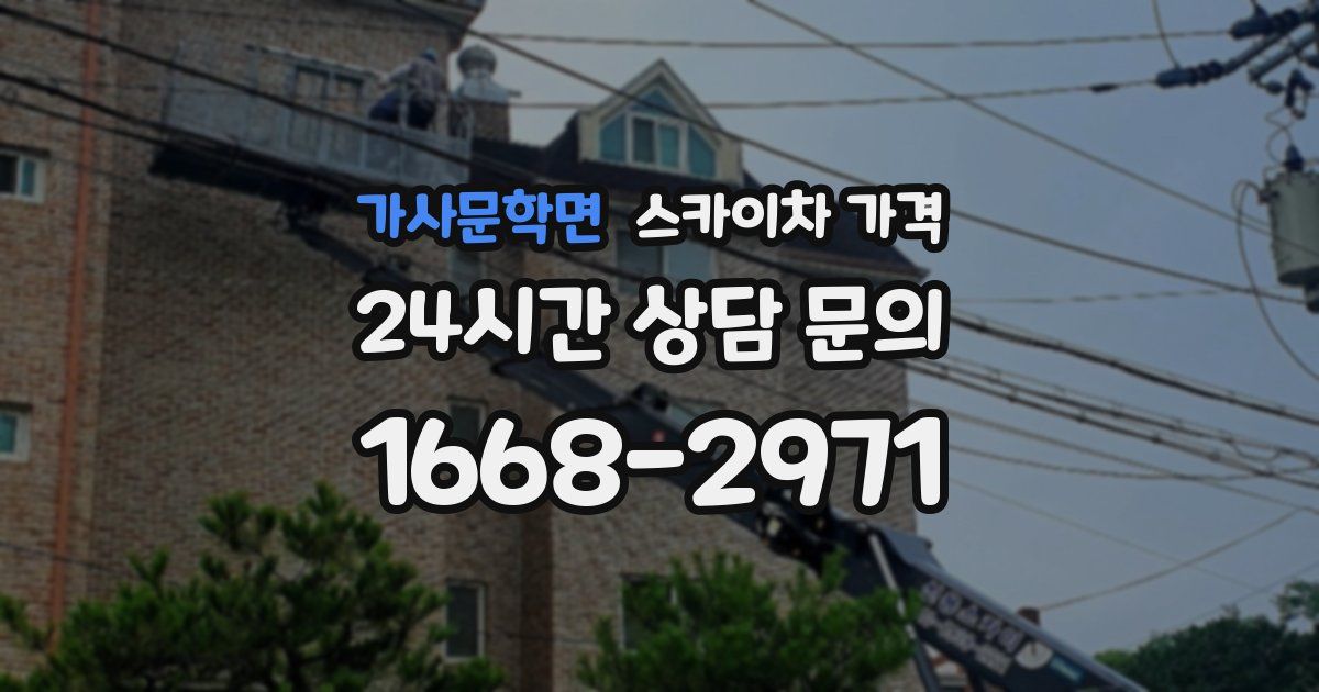 가사문학면 스카이차 가격