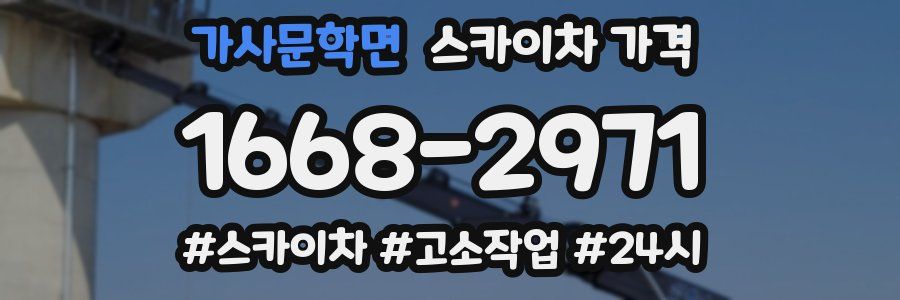 가사문학면 스카이차 가격