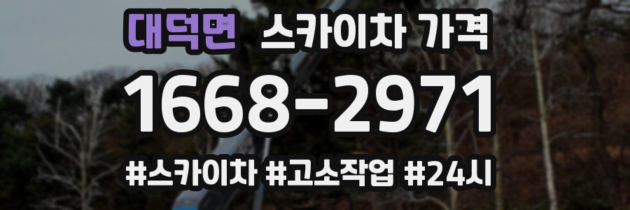 대덕면 스카이차 가격