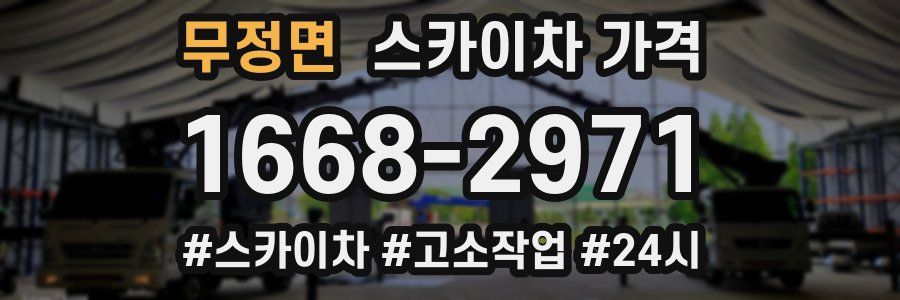 무정면 스카이차 가격