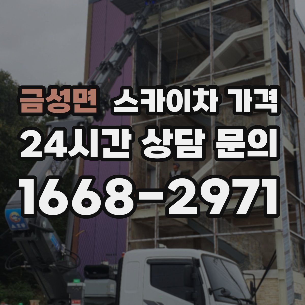 금성면 스카이차 가격