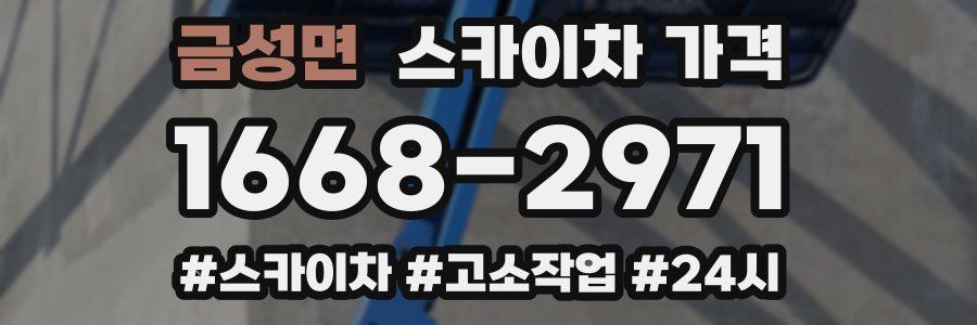 금성면 스카이차 가격