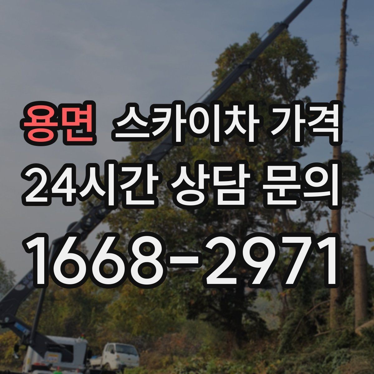용면 스카이차 가격 돌출간판은 왜 시간이 더 걸릴 수 있을까