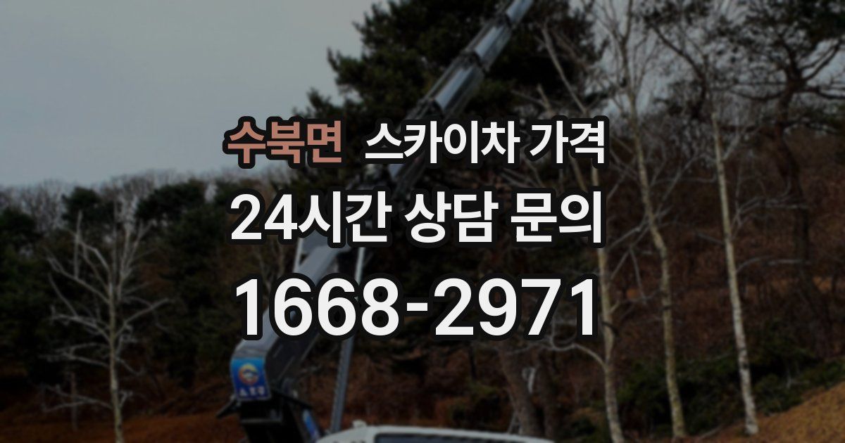 수북면 스카이차 가격