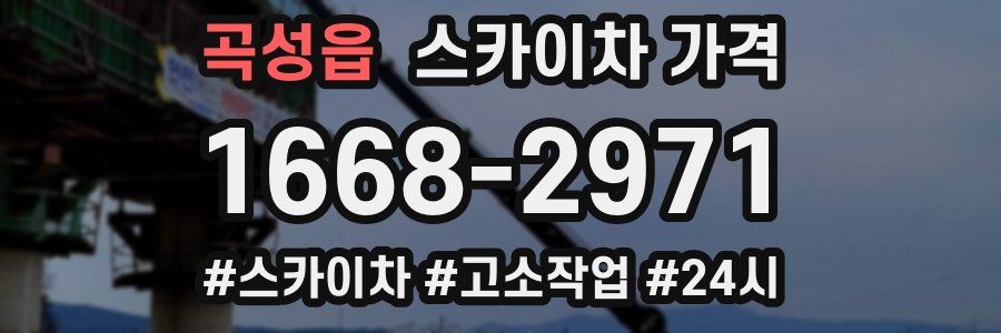 곡성읍 스카이차 가격