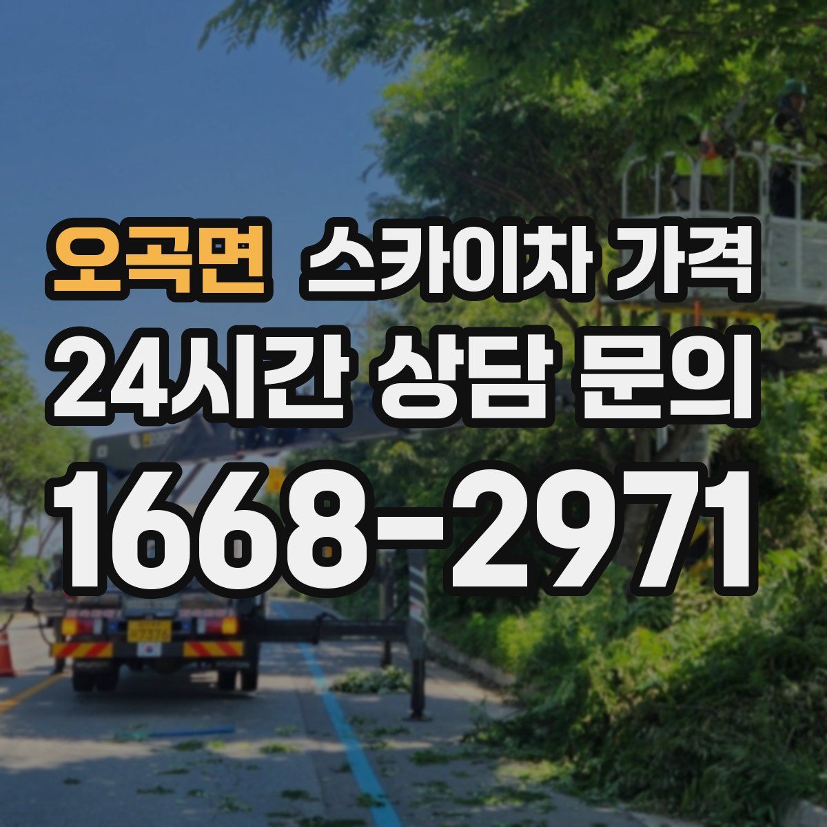 오곡면 스카이차 가격