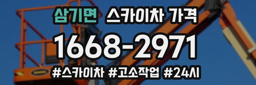 삼기면 스카이차 가격