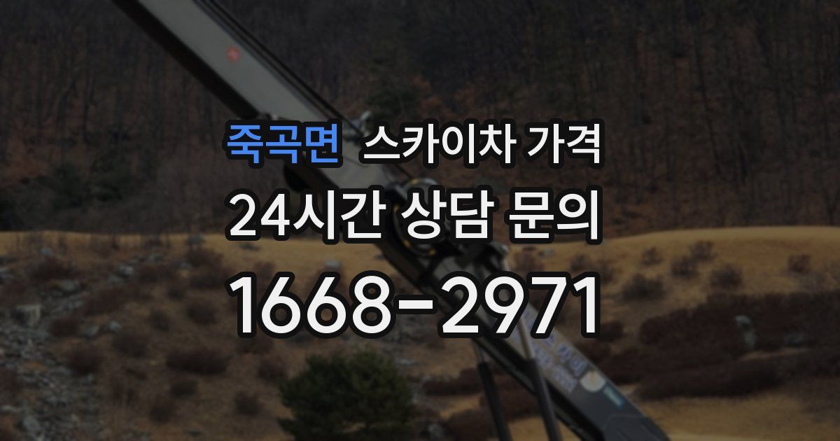 죽곡면 스카이차 가격