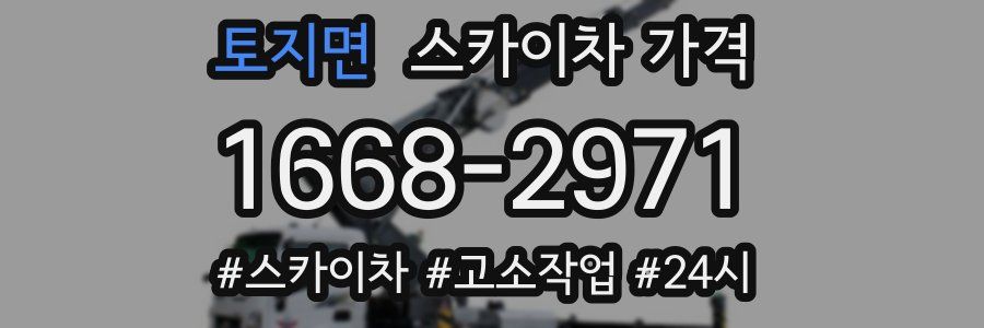 토지면 스카이차 가격