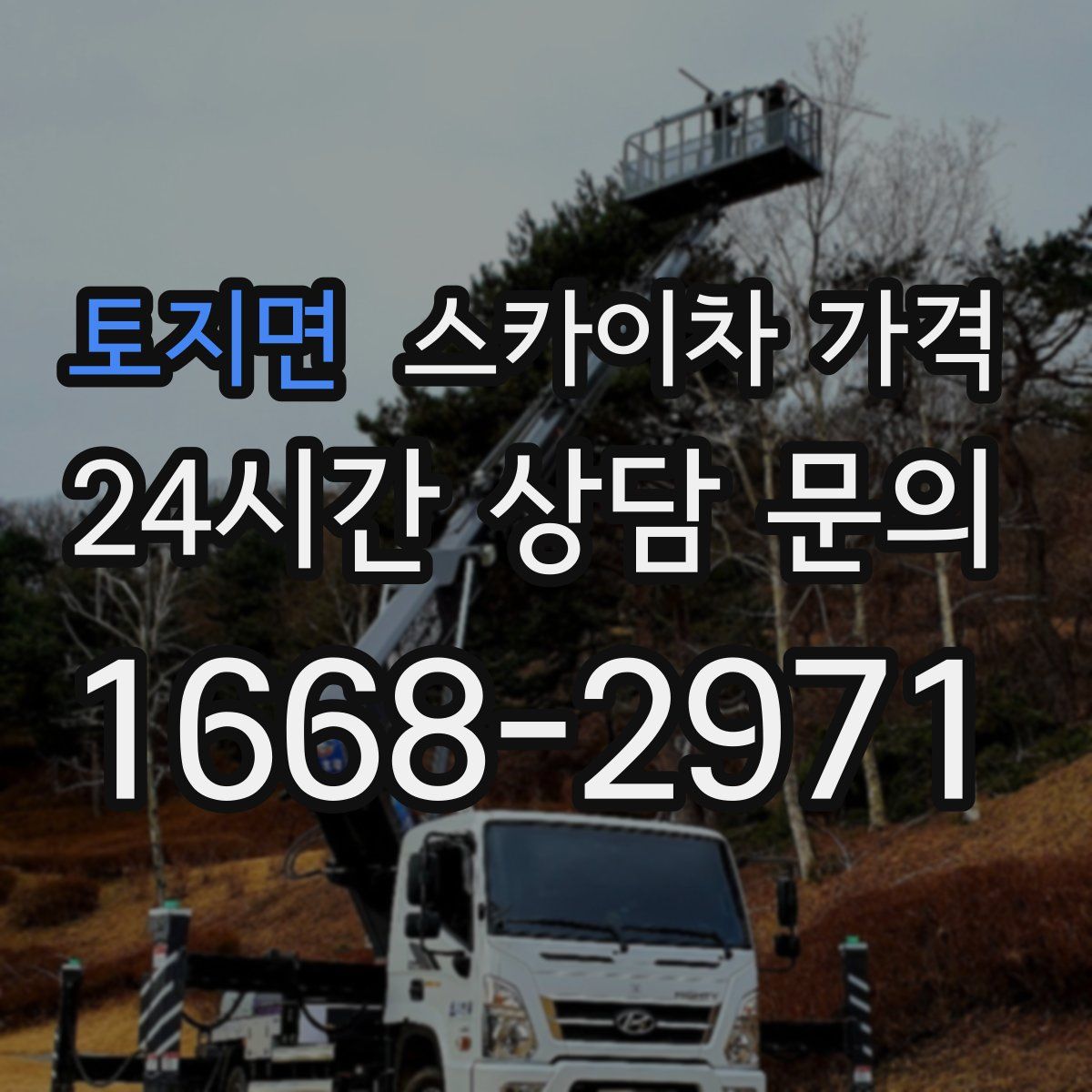 토지면 스카이차 가격