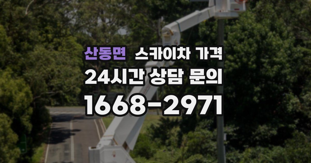 산동면 스카이차 가격