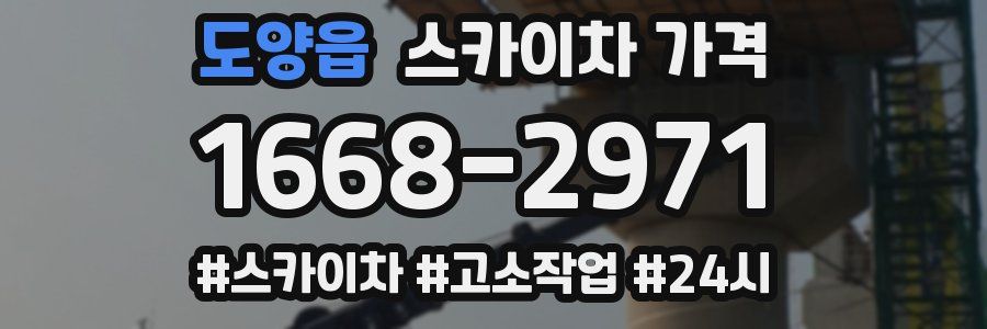 도양읍 스카이차 가격