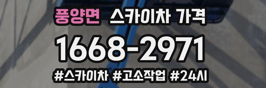 풍양면 스카이차 가격