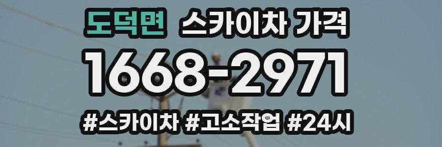 도덕면 스카이차 가격