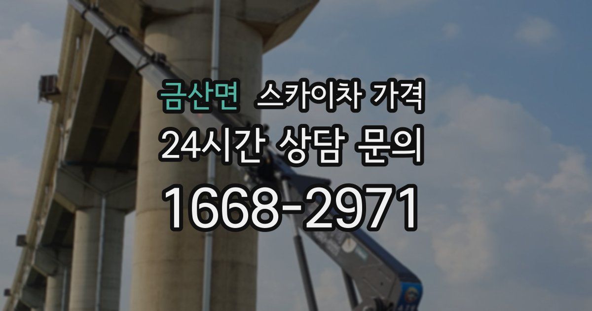 금산면 스카이차 가격