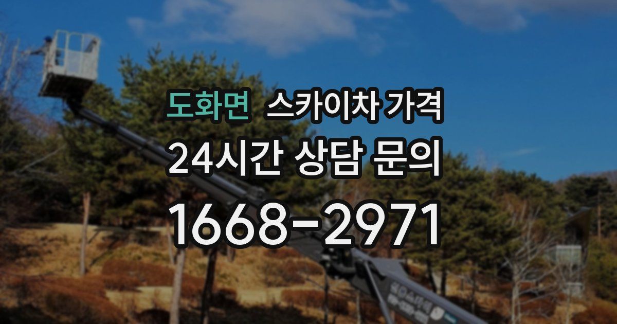 도화면 스카이차 가격