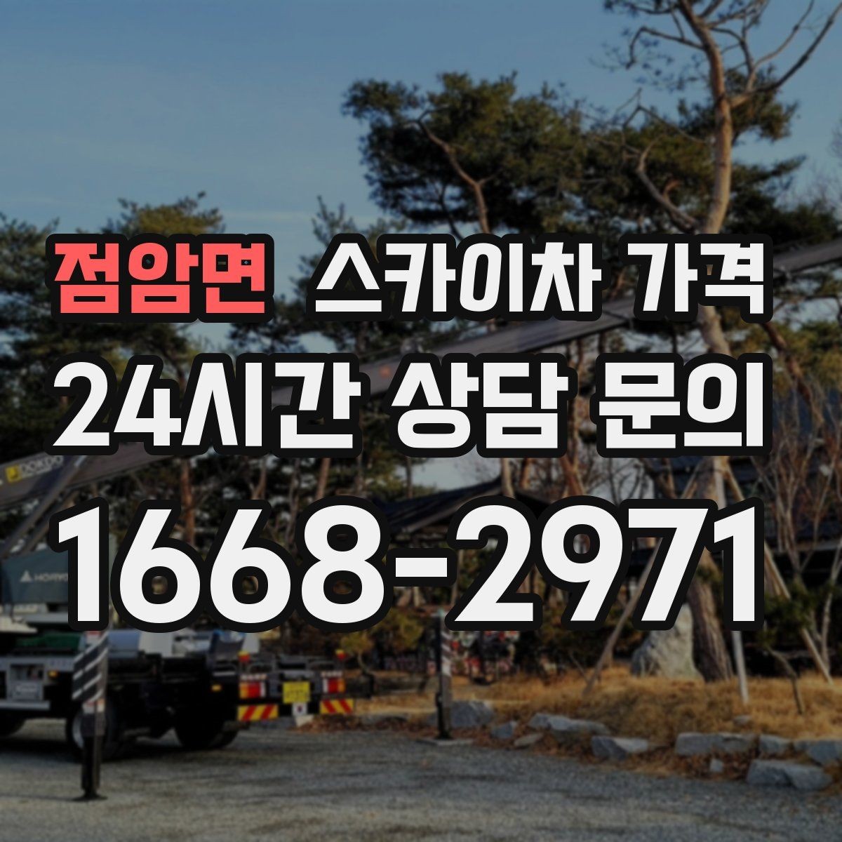 점암면 스카이차 가격 나무 전지 작업은 가지 위치가 변수가 됩니다