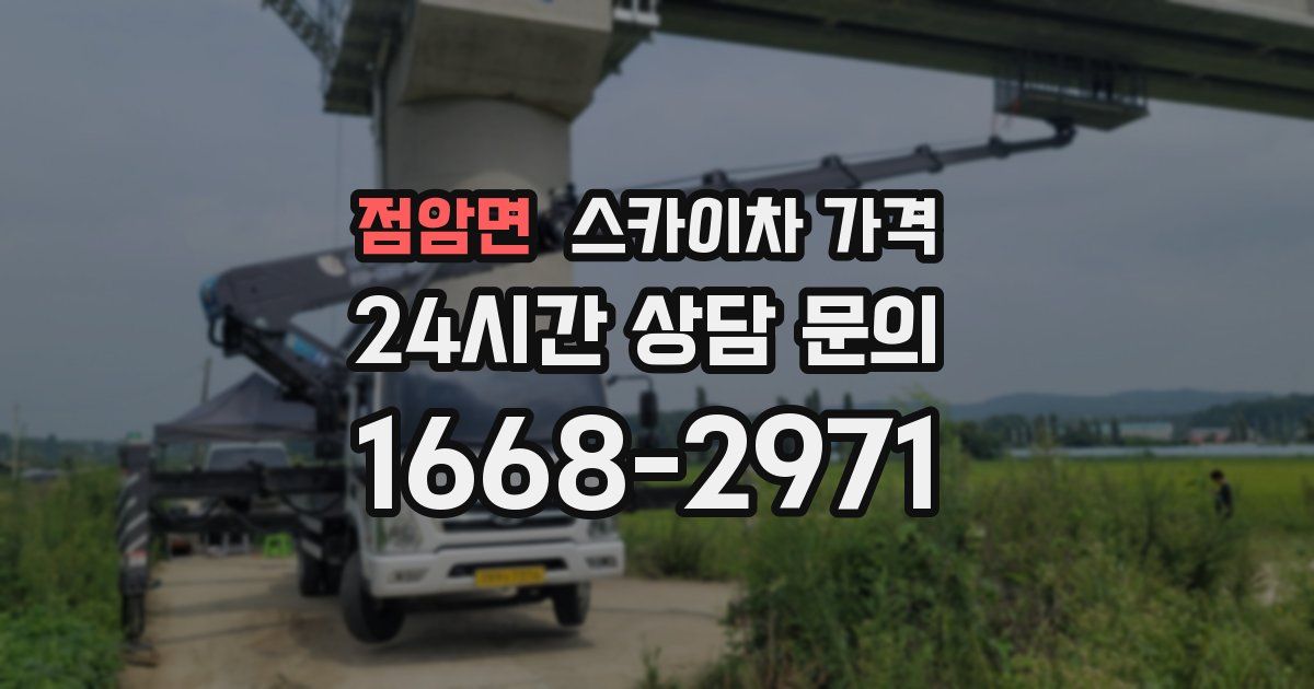 점암면 스카이차 가격