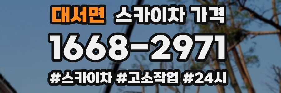 대서면 스카이차 가격