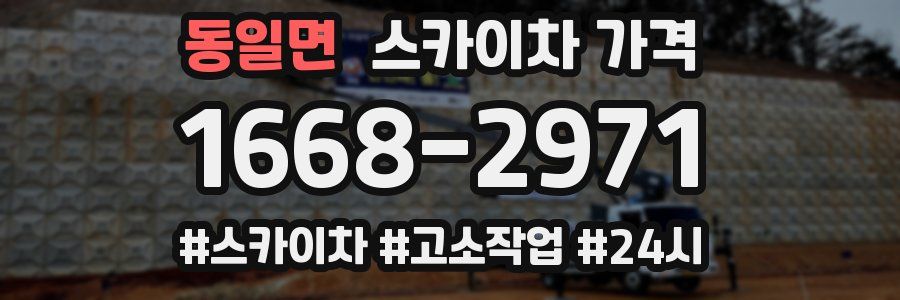 동일면 스카이차 가격