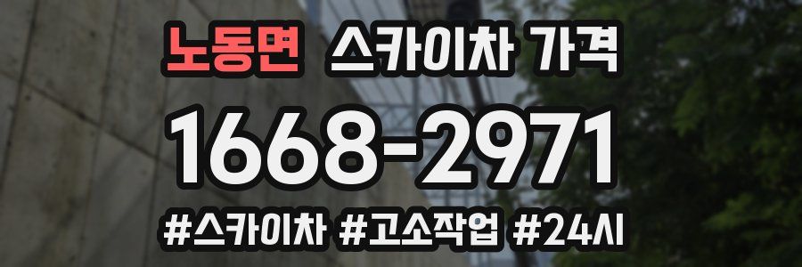 노동면 스카이차 가격