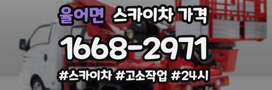 율어면 스카이차 가격