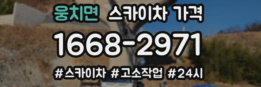 웅치면 스카이차 가격